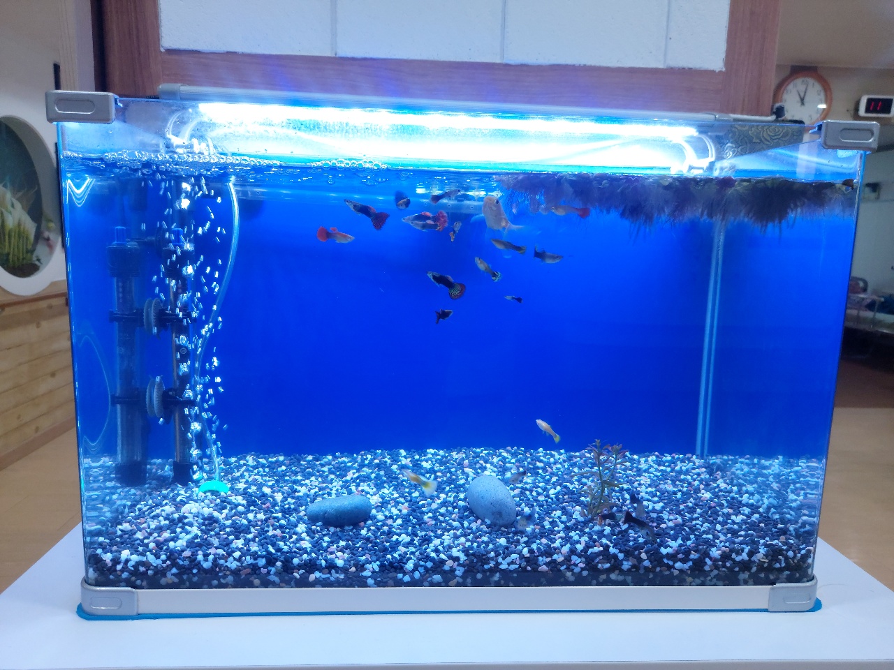 참사랑전문요양원 이미지 4