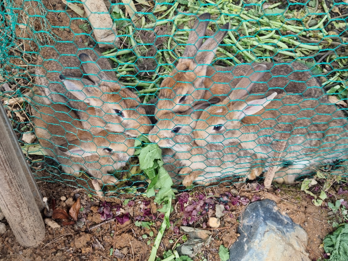 청송보현요양원