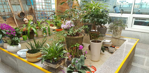 심청골효도의집 이미지 12