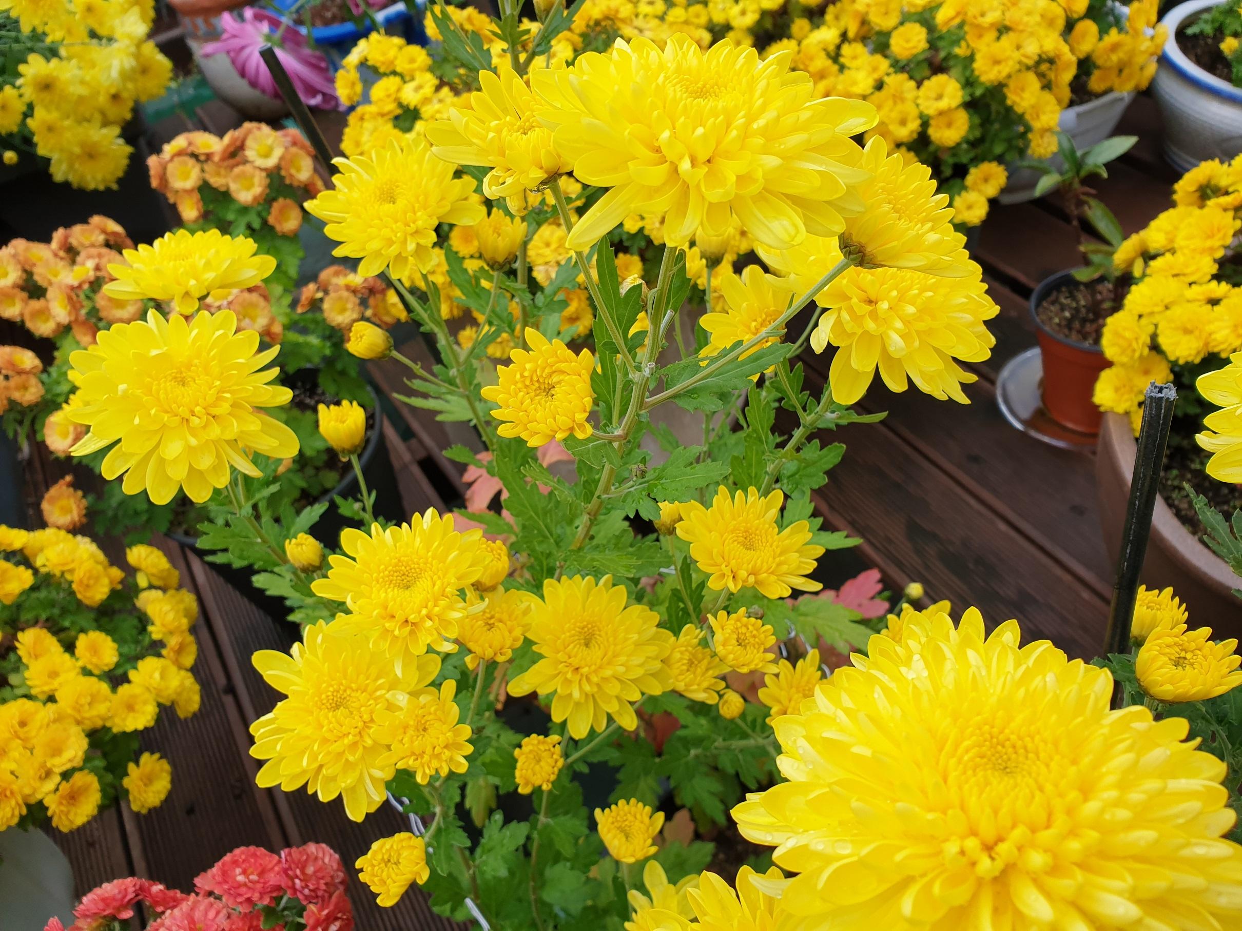 효누리요양원 이미지 7