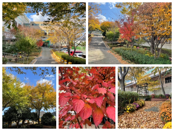 기장실버홈 이미지 9