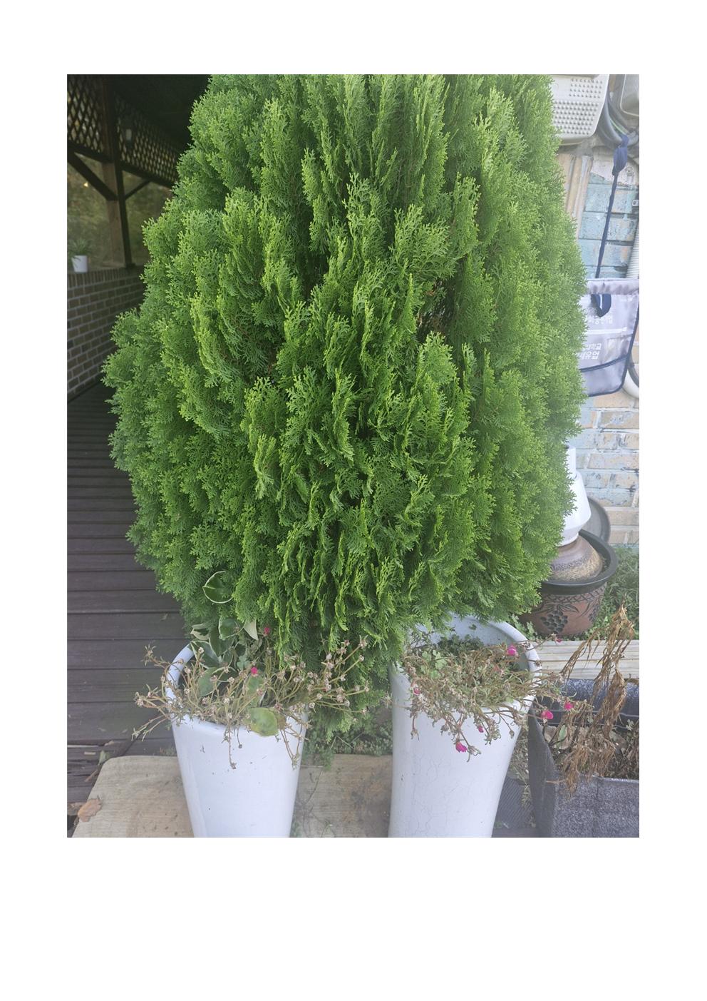 성환사랑의마을 이미지 3