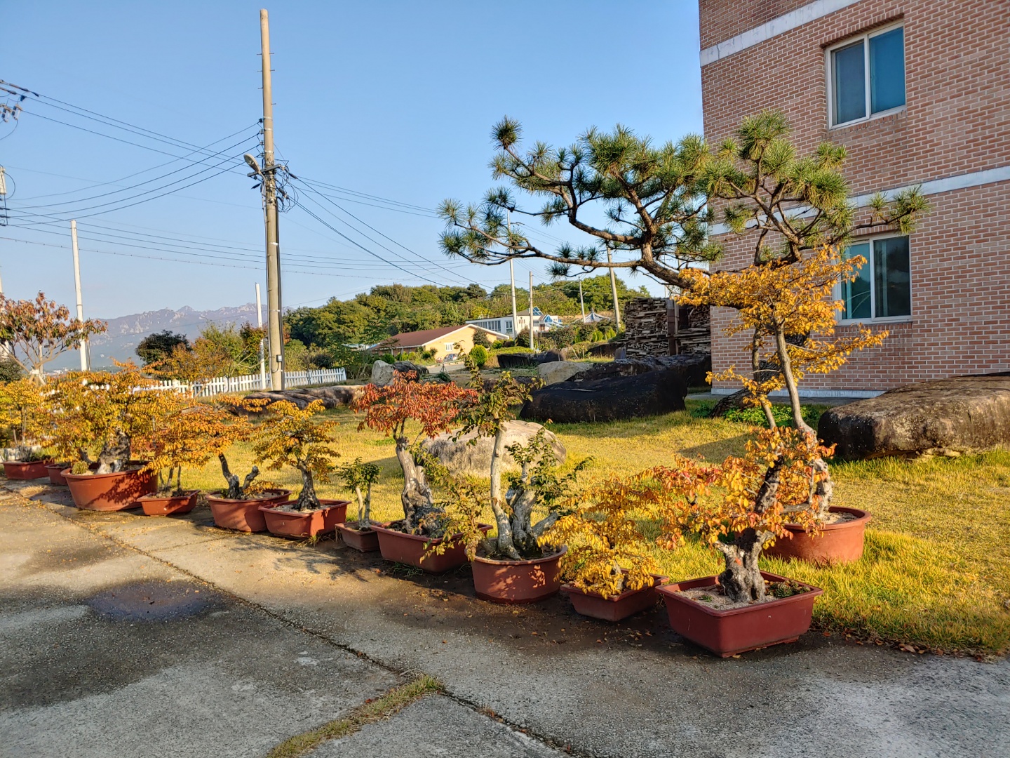 사랑의 집 이미지 5