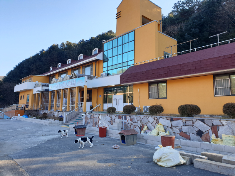 춘천할렐루야천사의집