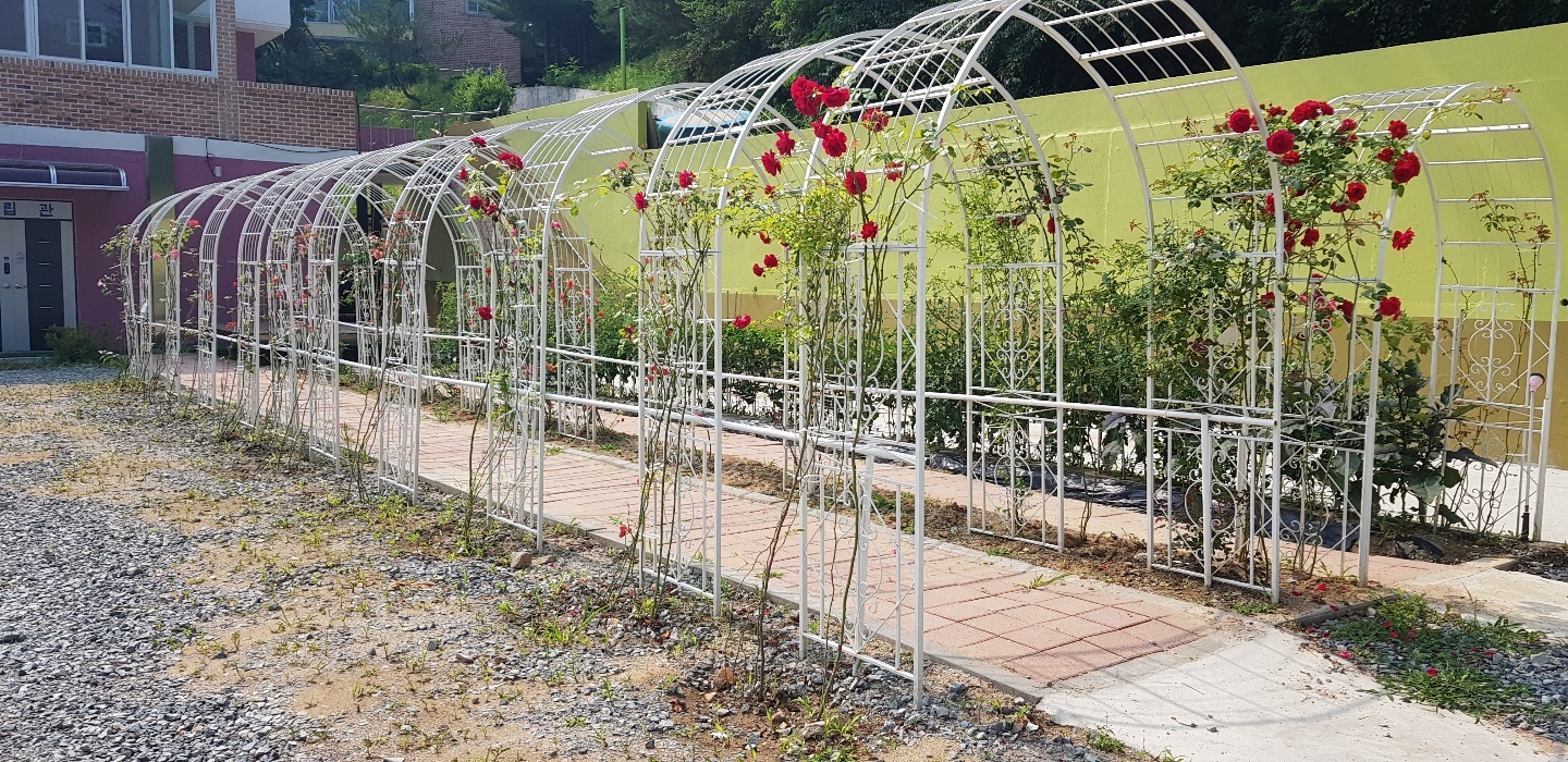 사회복지법인 참사랑복지재단 참사랑요양원 이미지 23