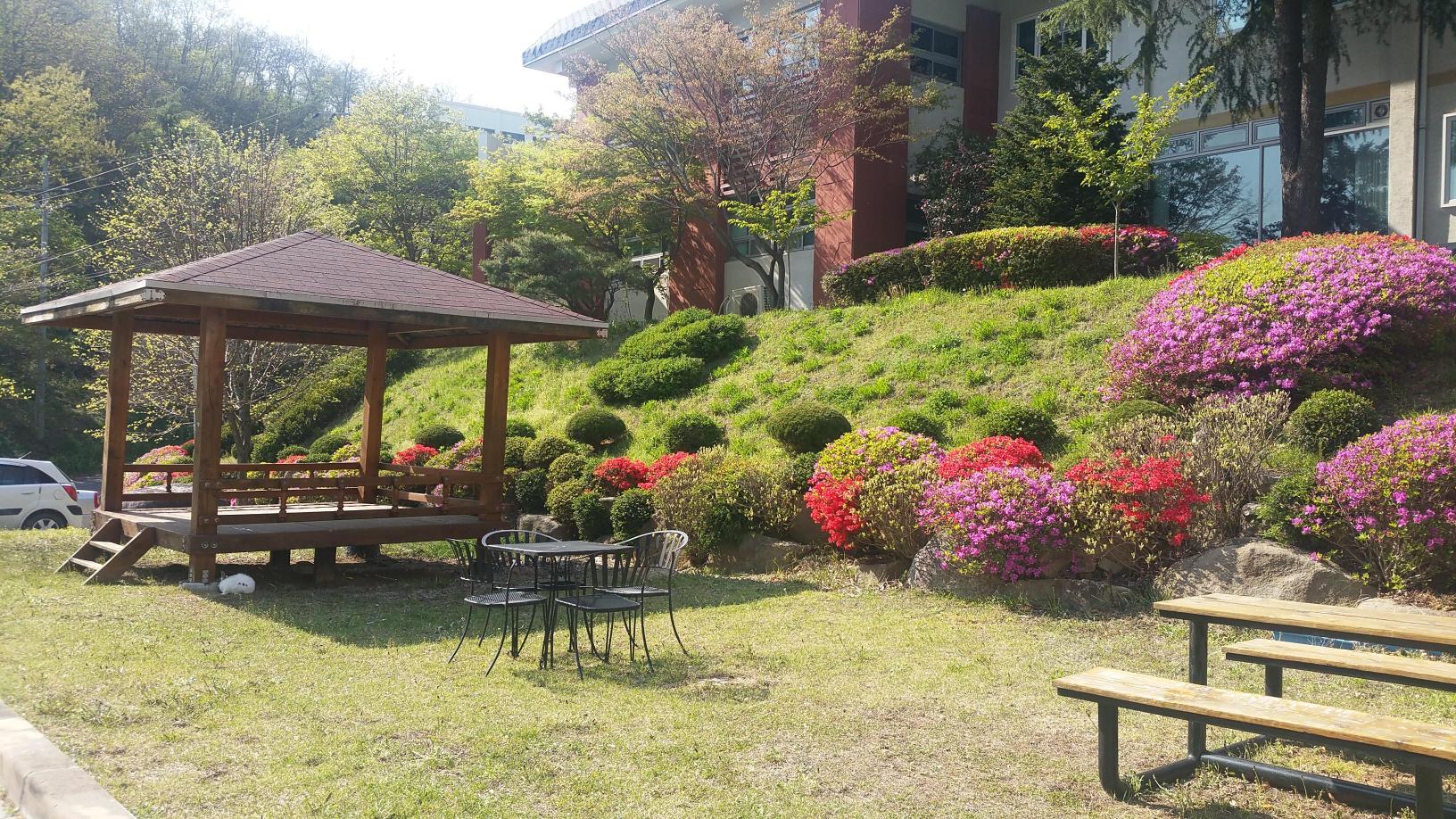 마야노인전문요양원 이미지 8