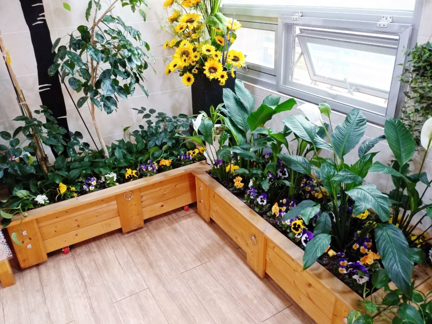 행복마지요양원 이미지 5