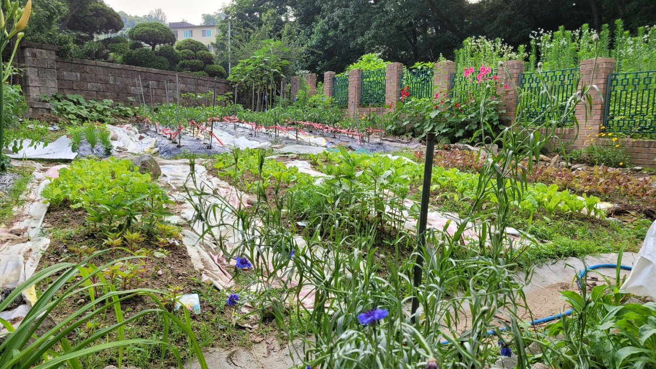 실버릿지판교 이미지 4