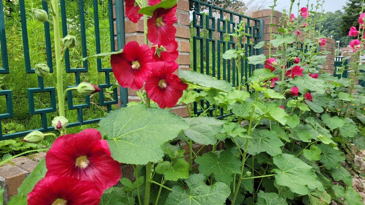 실버릿지판교 이미지 3