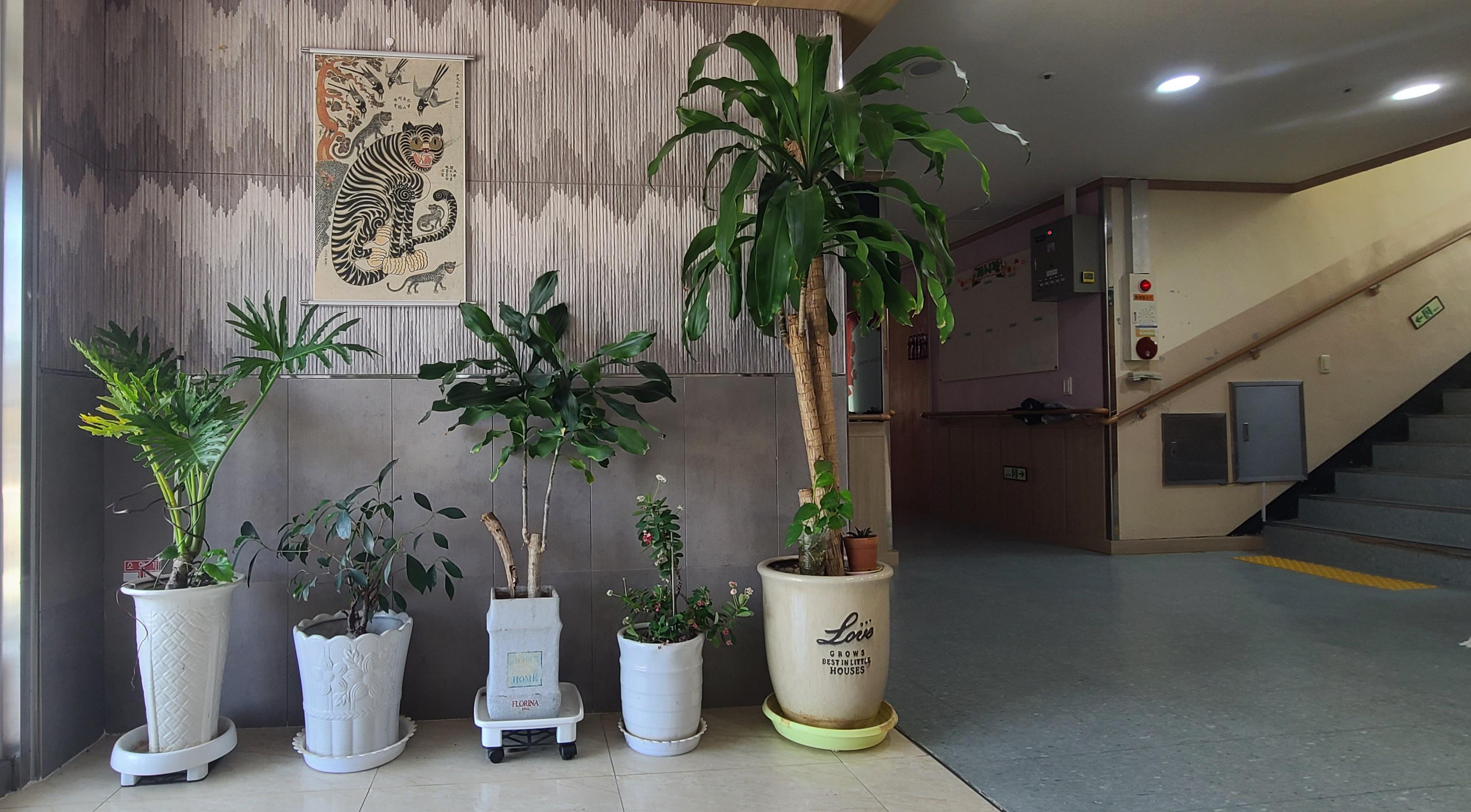 추부요양원 이미지 8