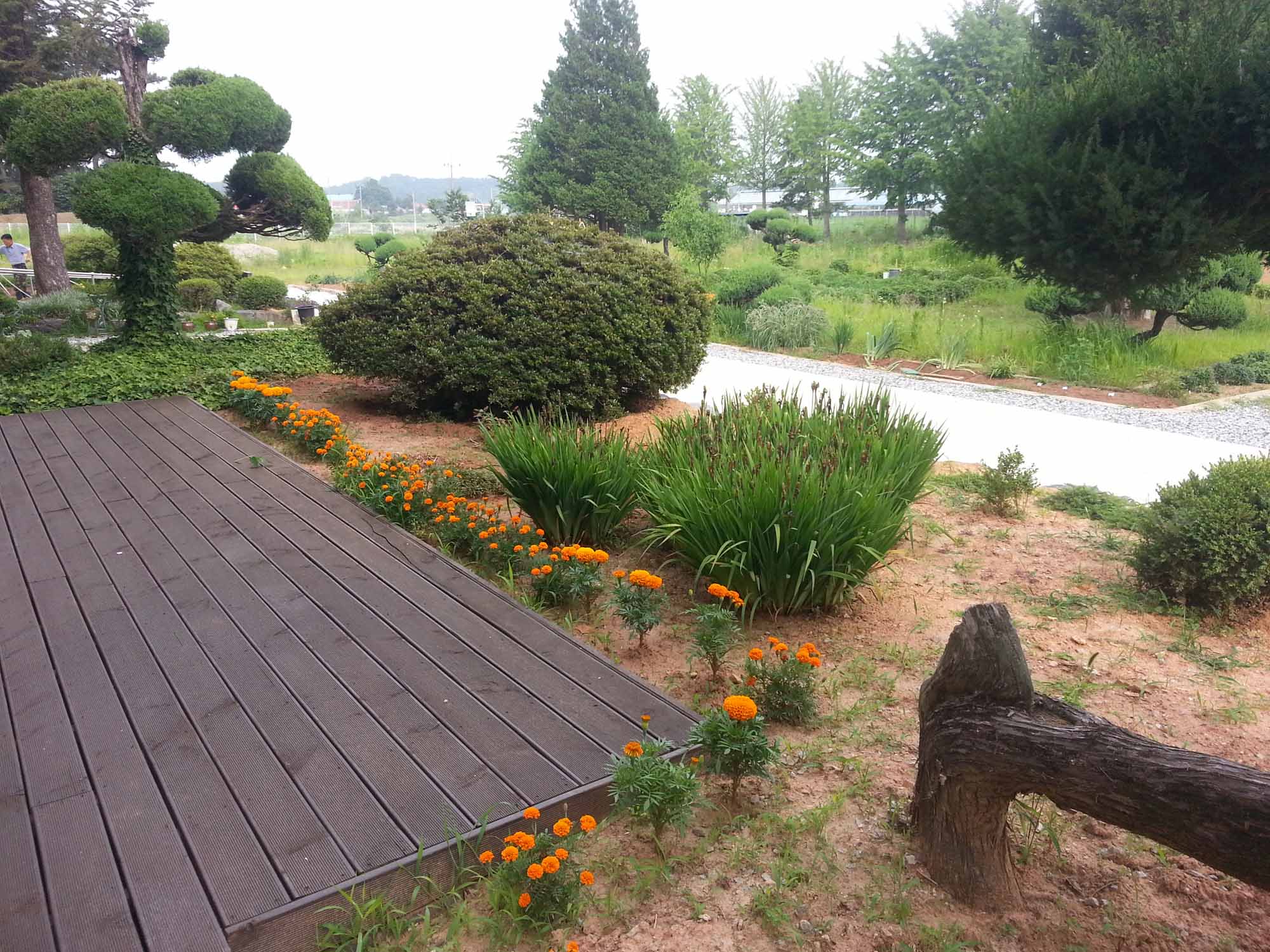 예사랑실버웰 이미지 18