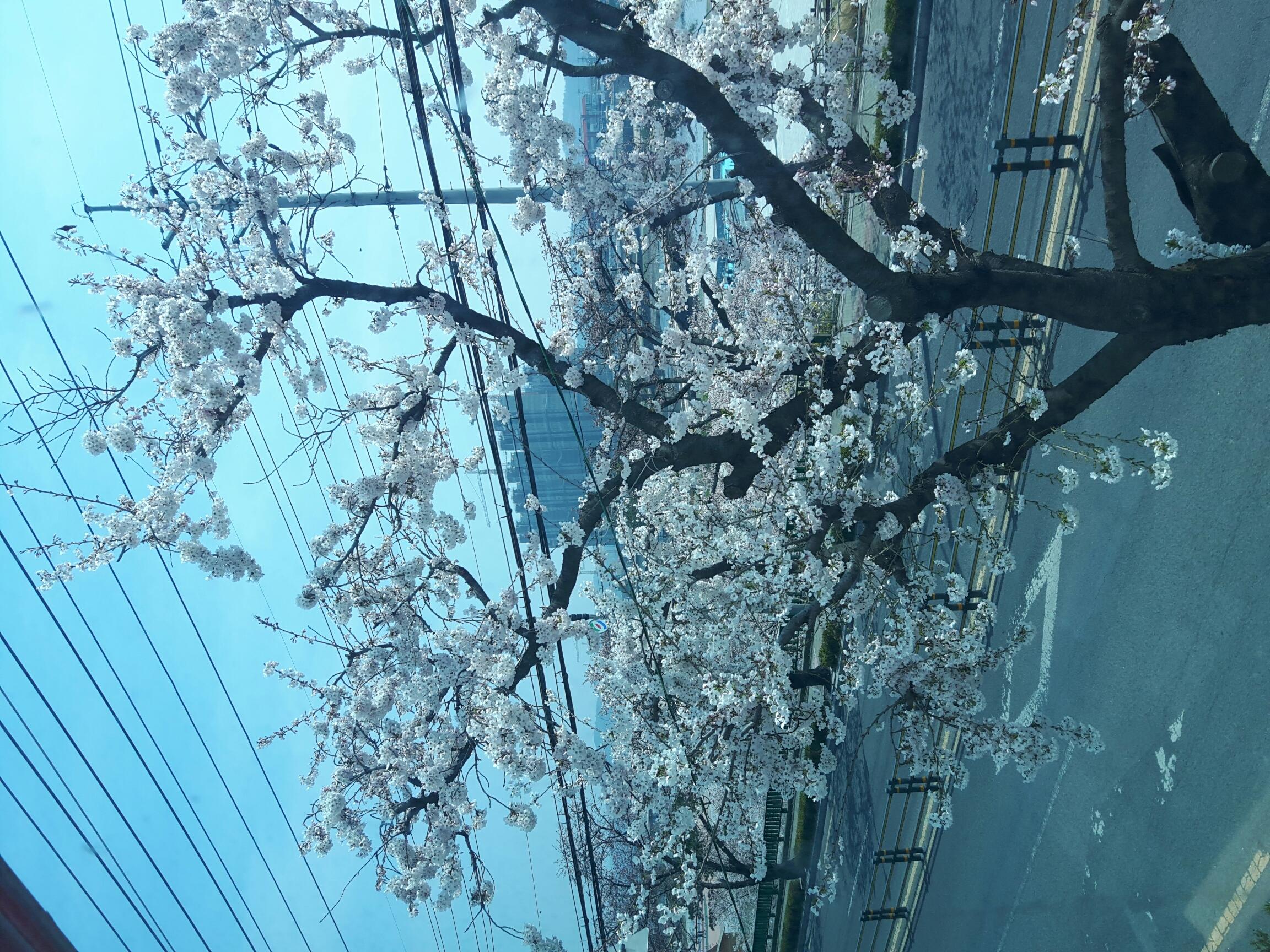 영천석미노인요양원 이미지 5