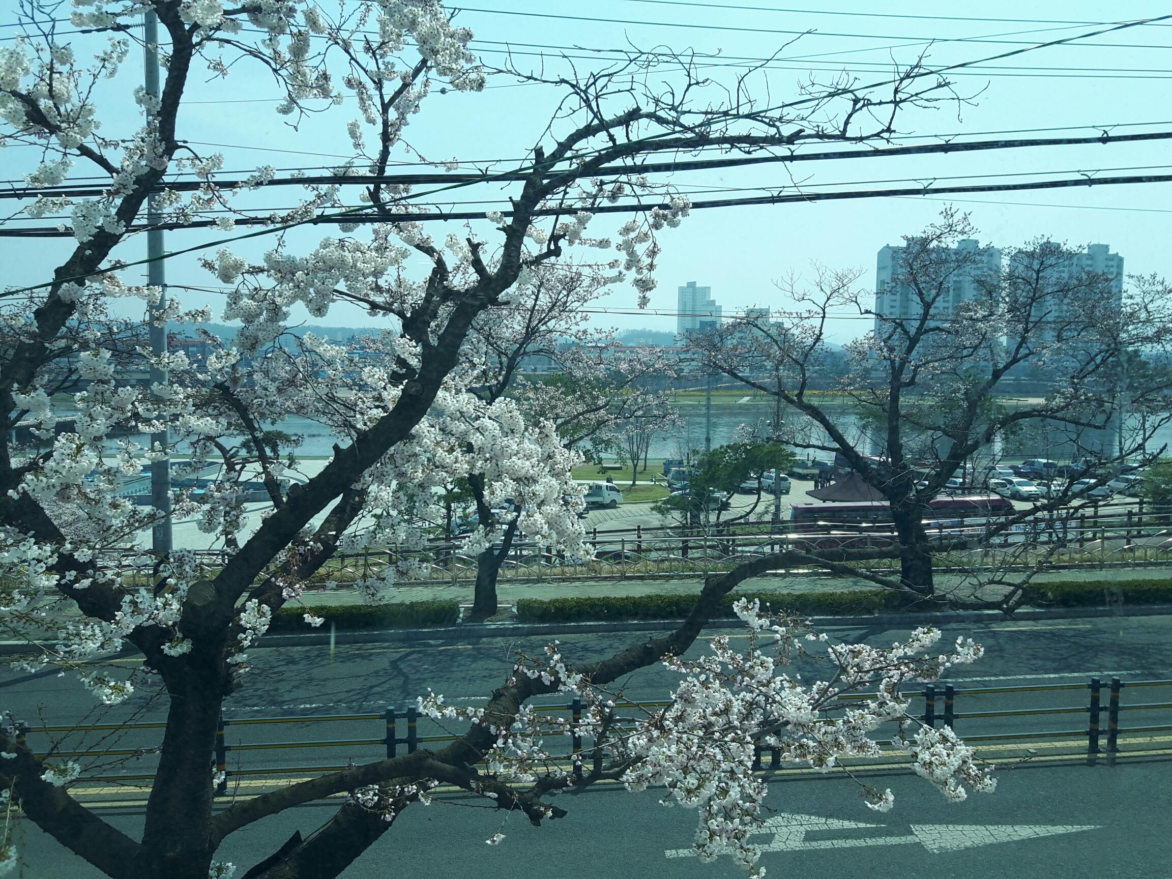 영천석미노인요양원 이미지 6