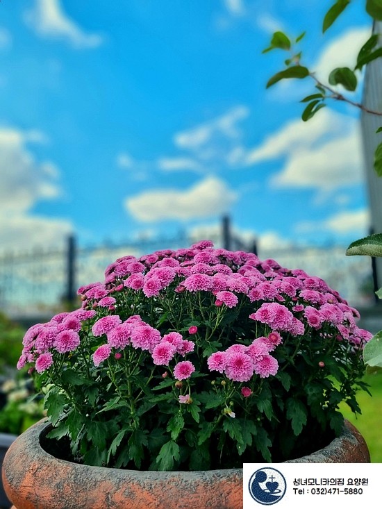 성녀모니카의집요양원 이미지 5