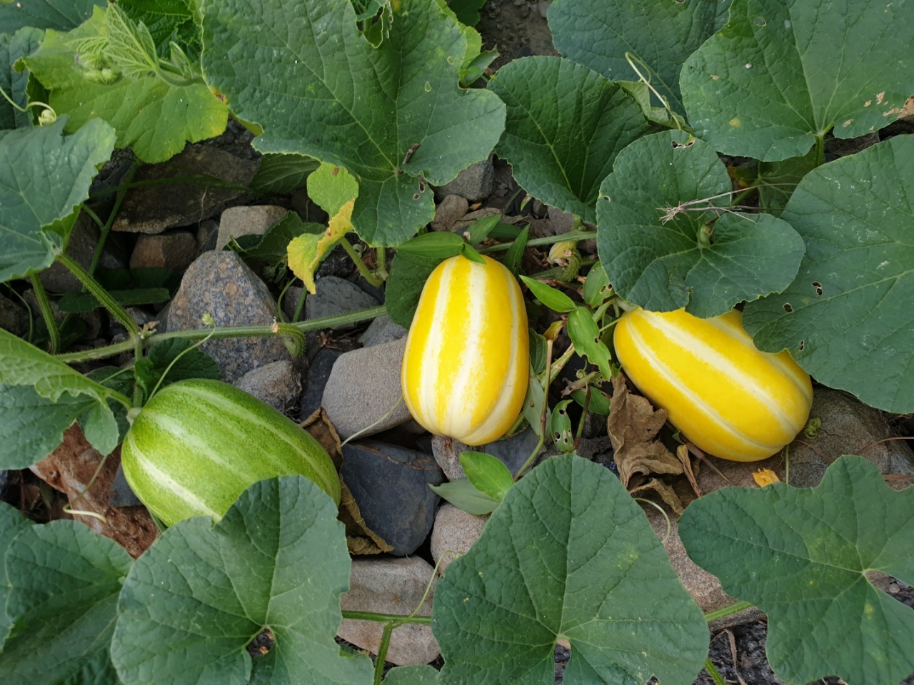 보금자리요양원 이미지 5