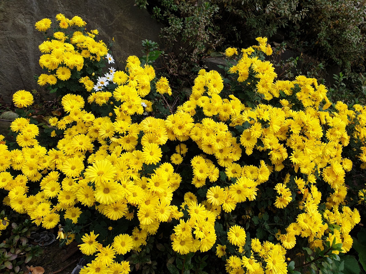 보금자리요양원 이미지 6