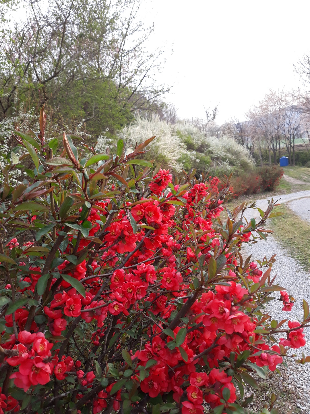 소망의집 이미지 4