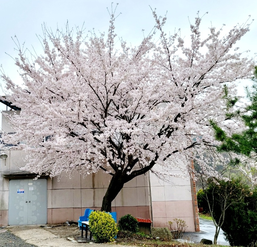 김천실버빌 이미지 5