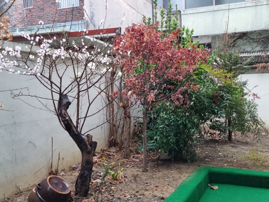 시니어재활요양센터