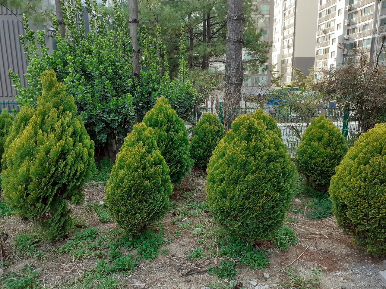 새순요양원 이미지 5