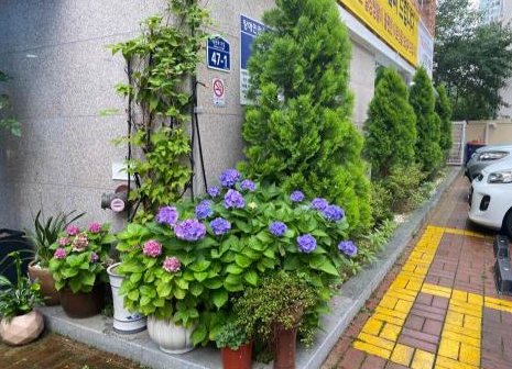 늘봄요양원 이미지 14