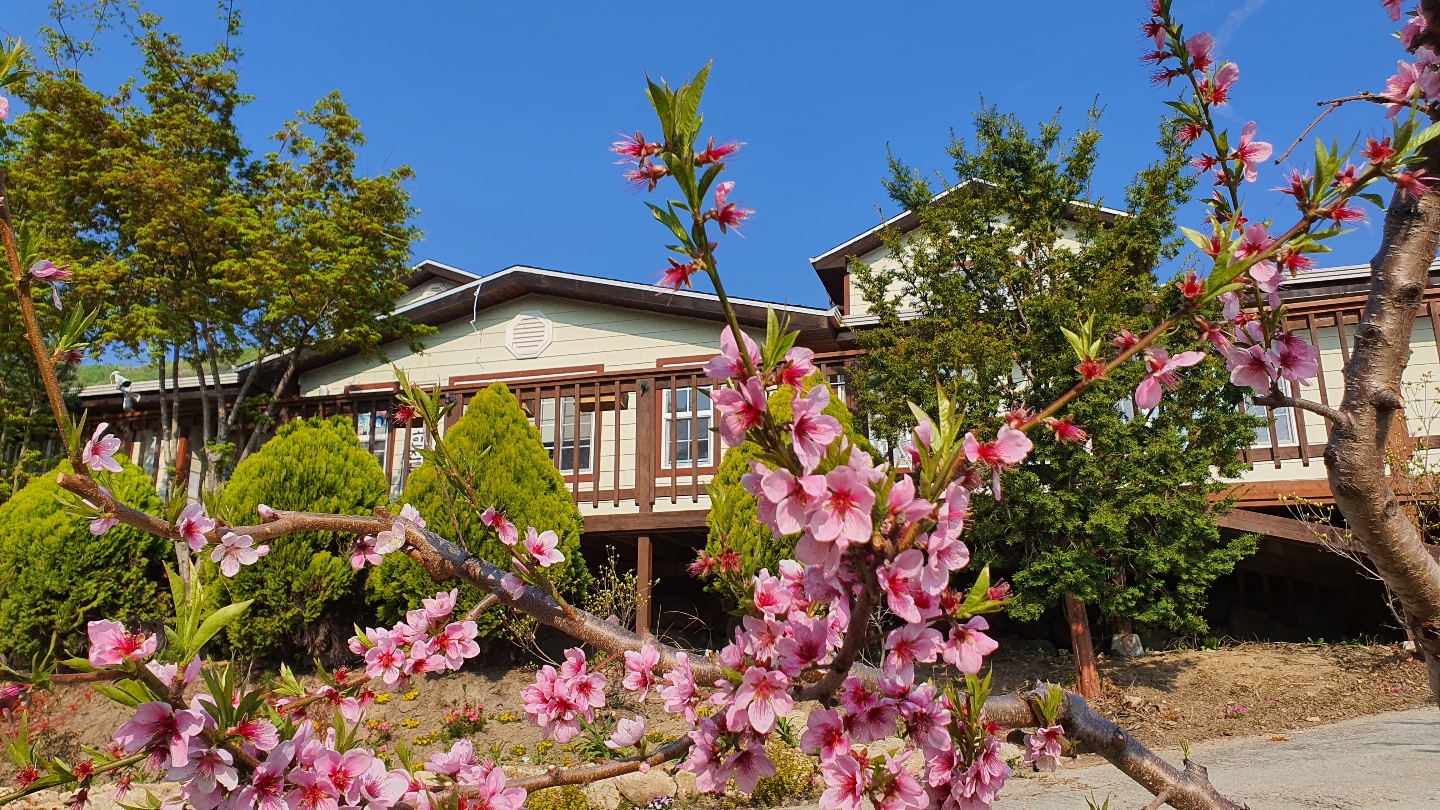 노인전문요양원사랑채 이미지 4