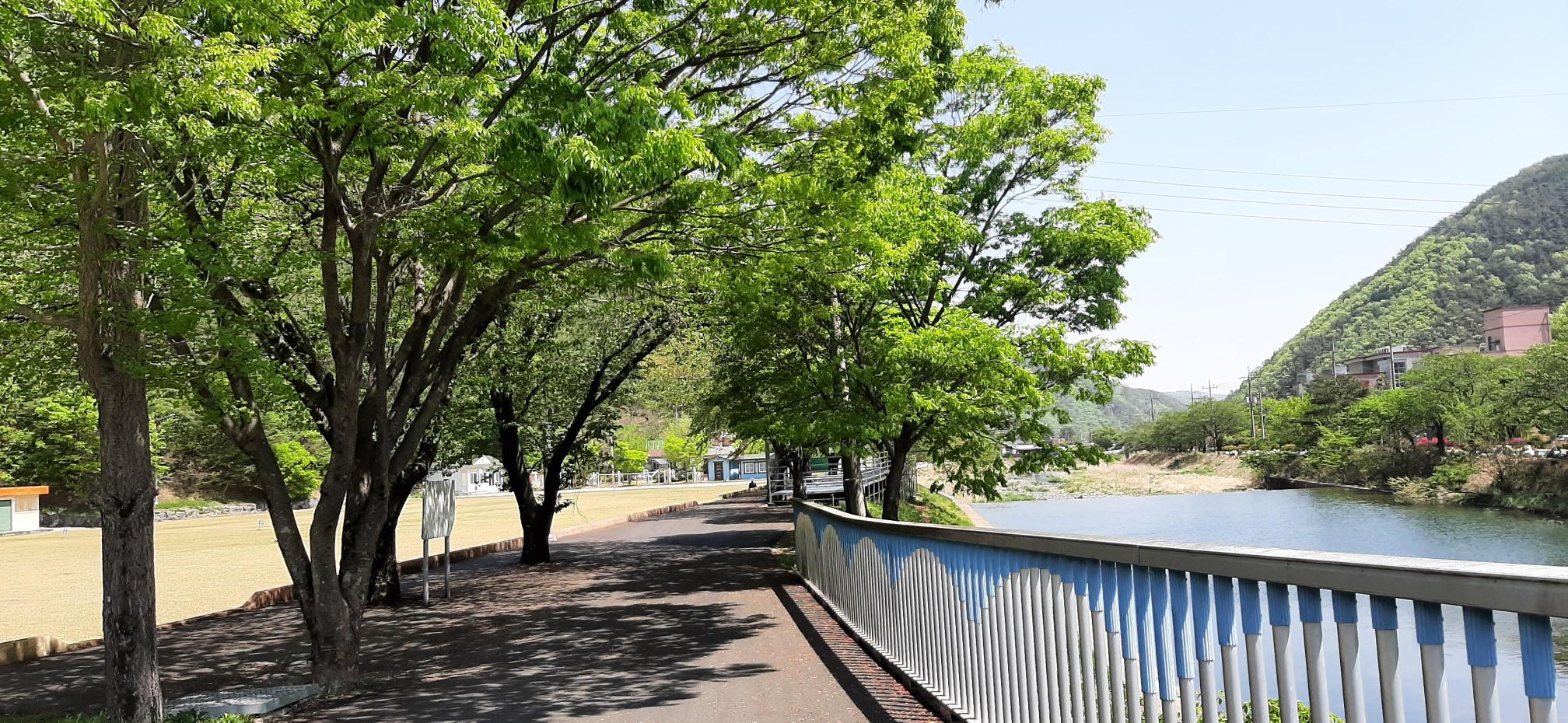 일붕효누리요양원 이미지 4