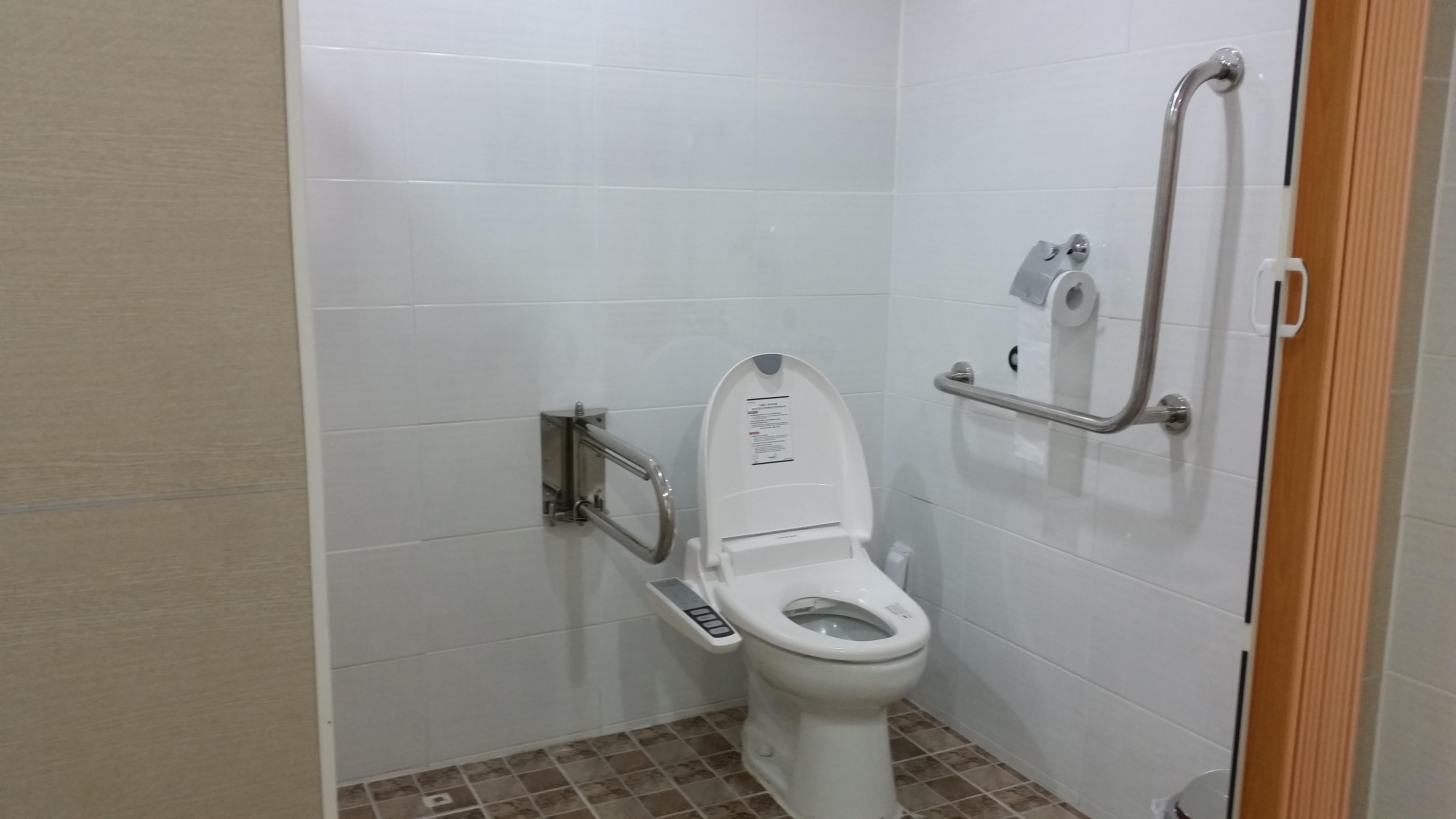 플래티늄 유성 이미지 8