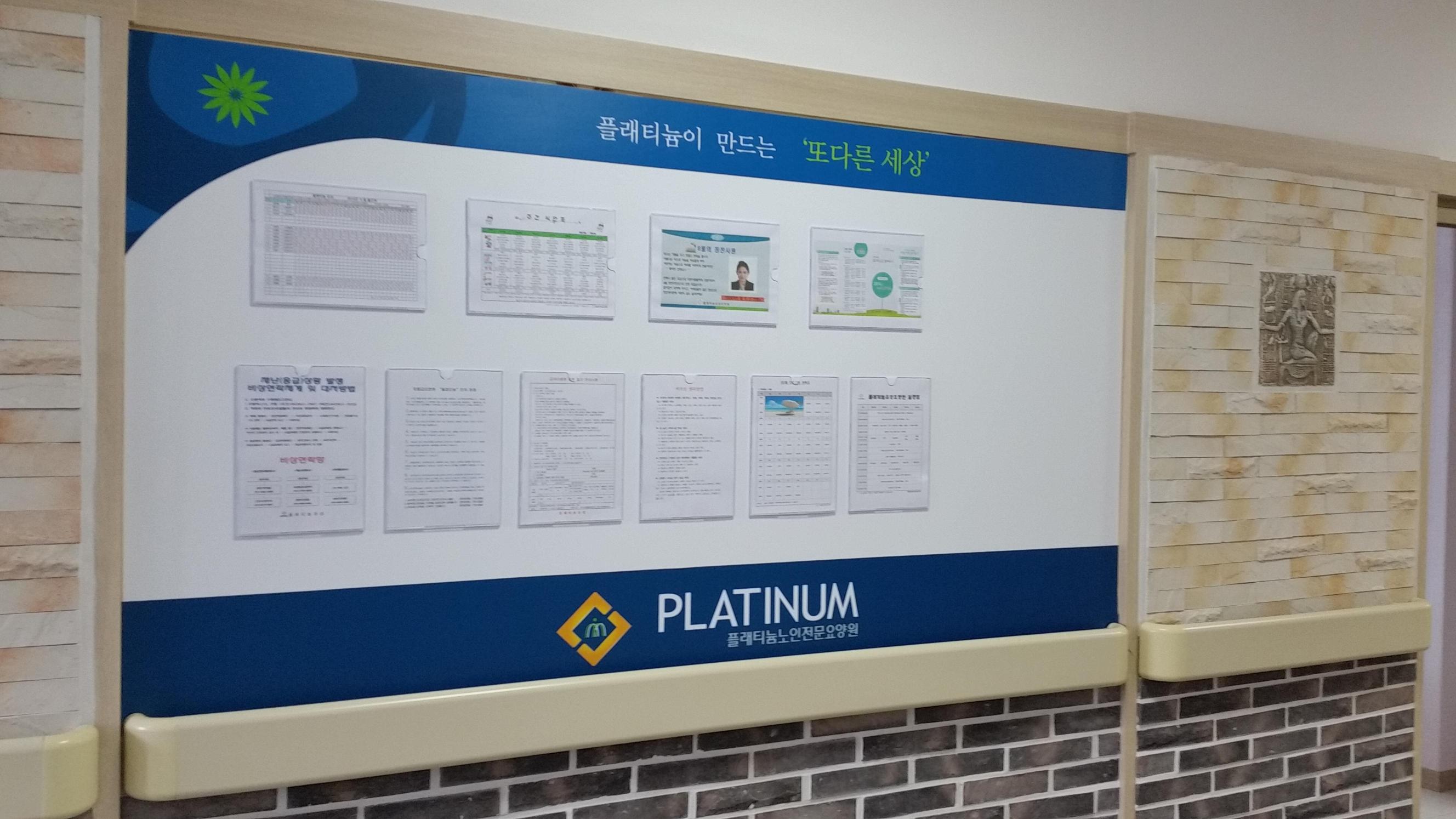 플래티늄 유성 이미지 5