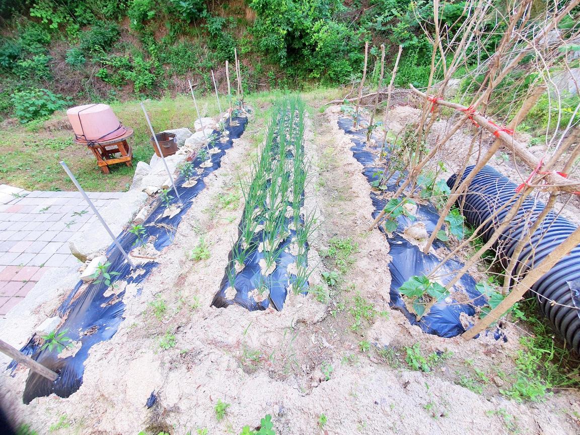 에벤에셀 요양원 이미지 5