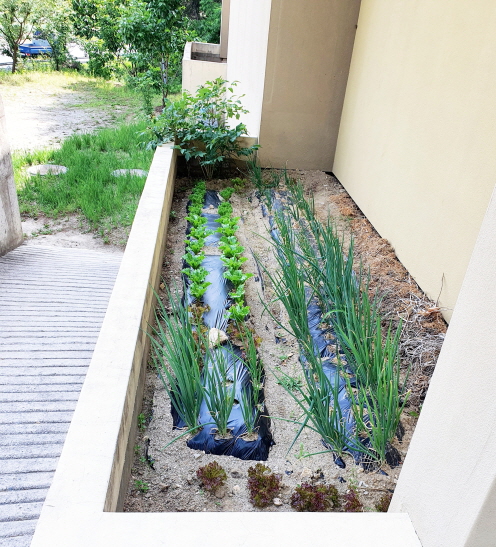 에벤에셀 요양원 이미지 4