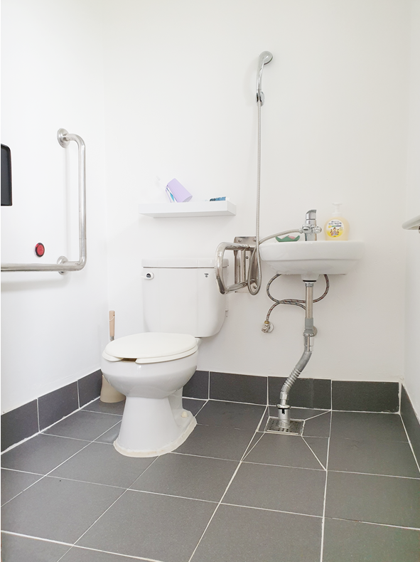 하얀민들레 이미지 4