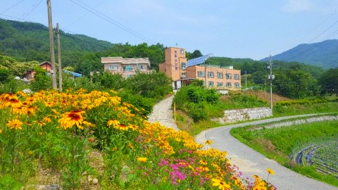 원주제일전문요양원