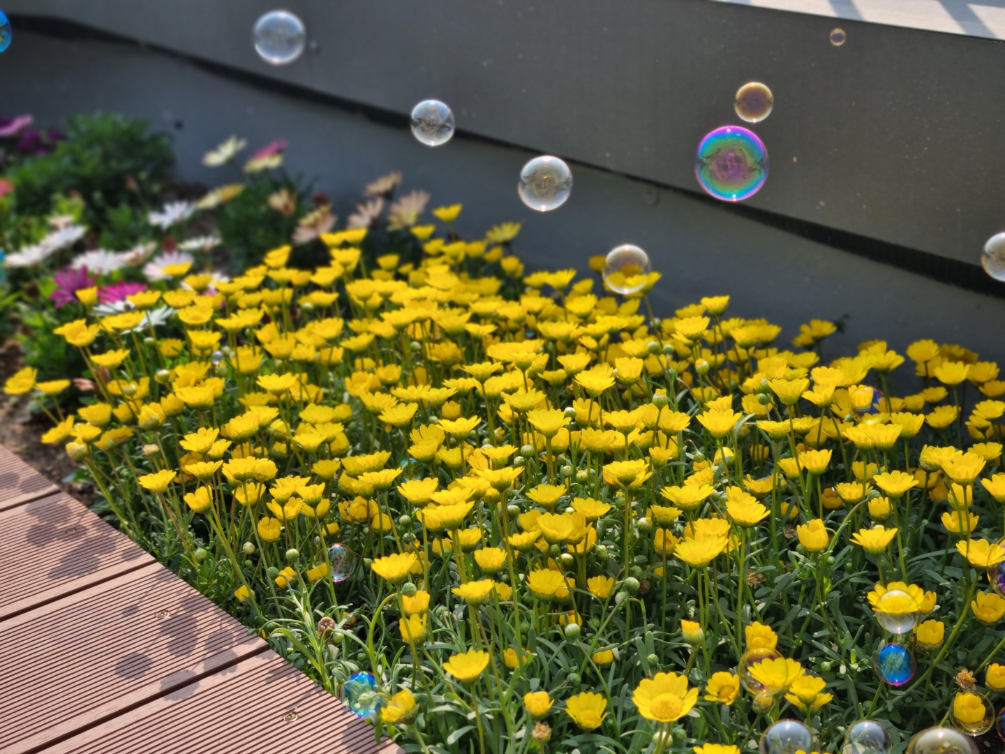 성녀모니카의집요양원 이미지 3