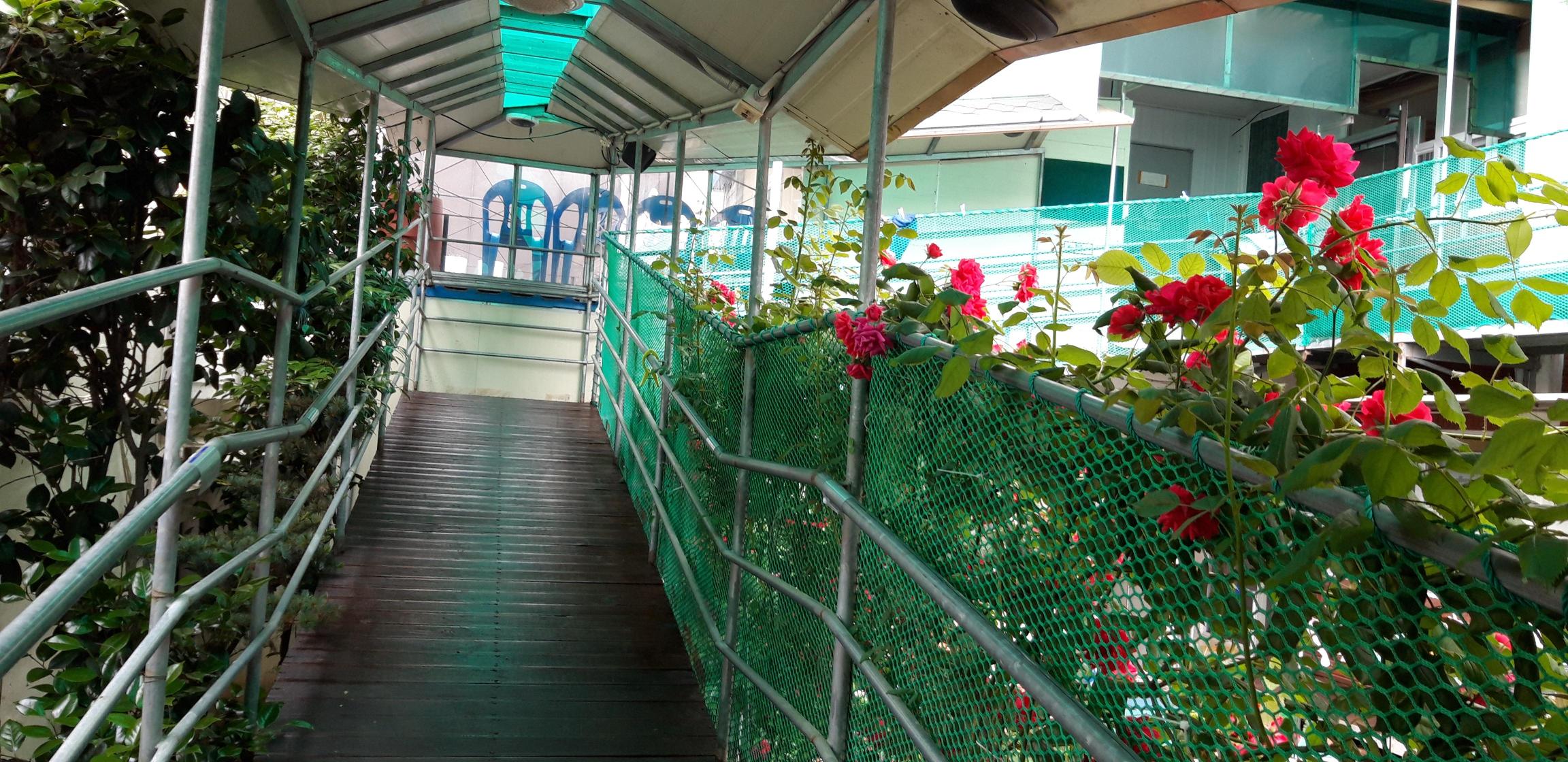 시온요양원 이미지 4