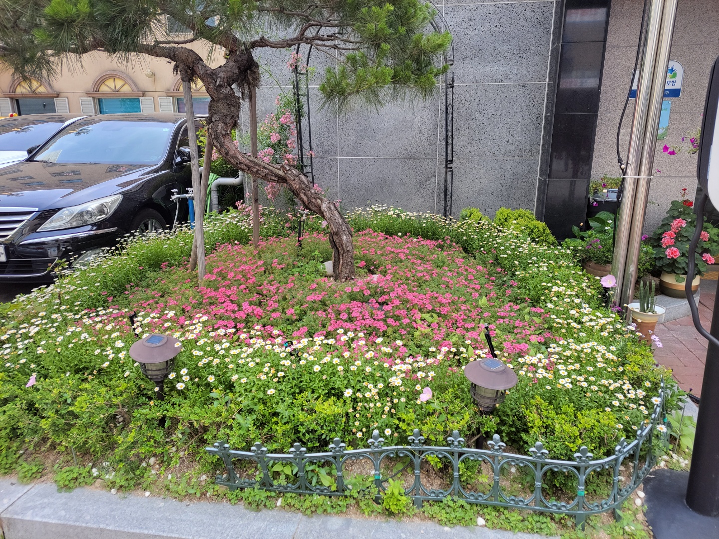 늘봄요양원 이미지 11