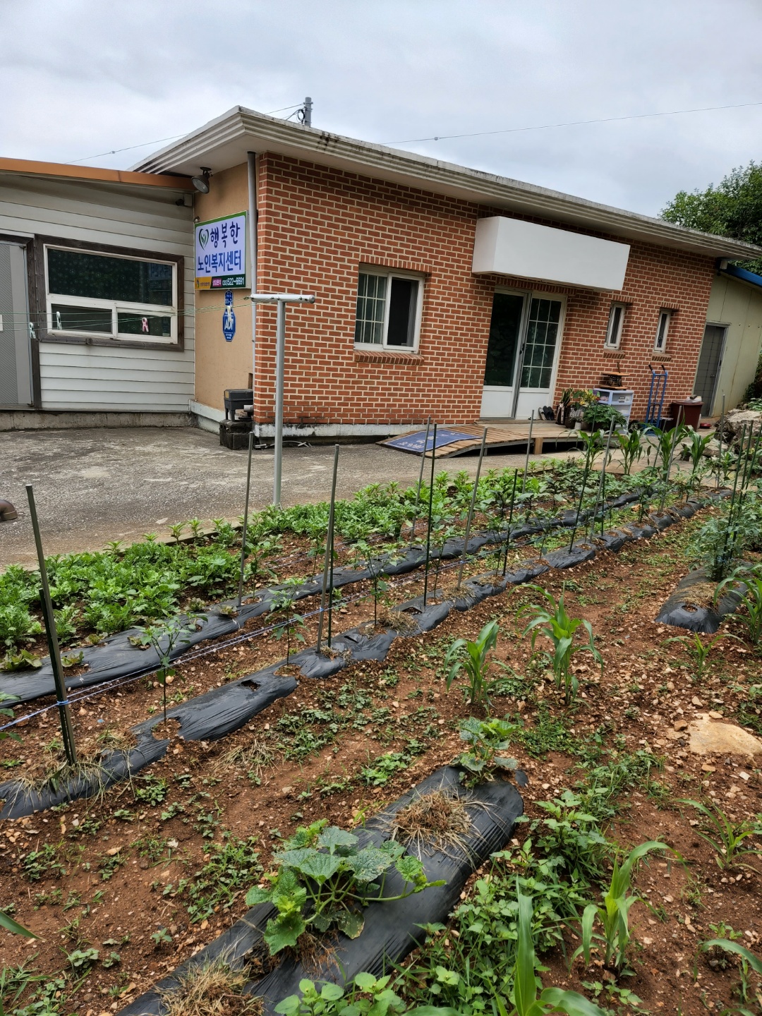 행복한노인복지센터 이미지 2