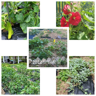 실버릿지판교 이미지 35