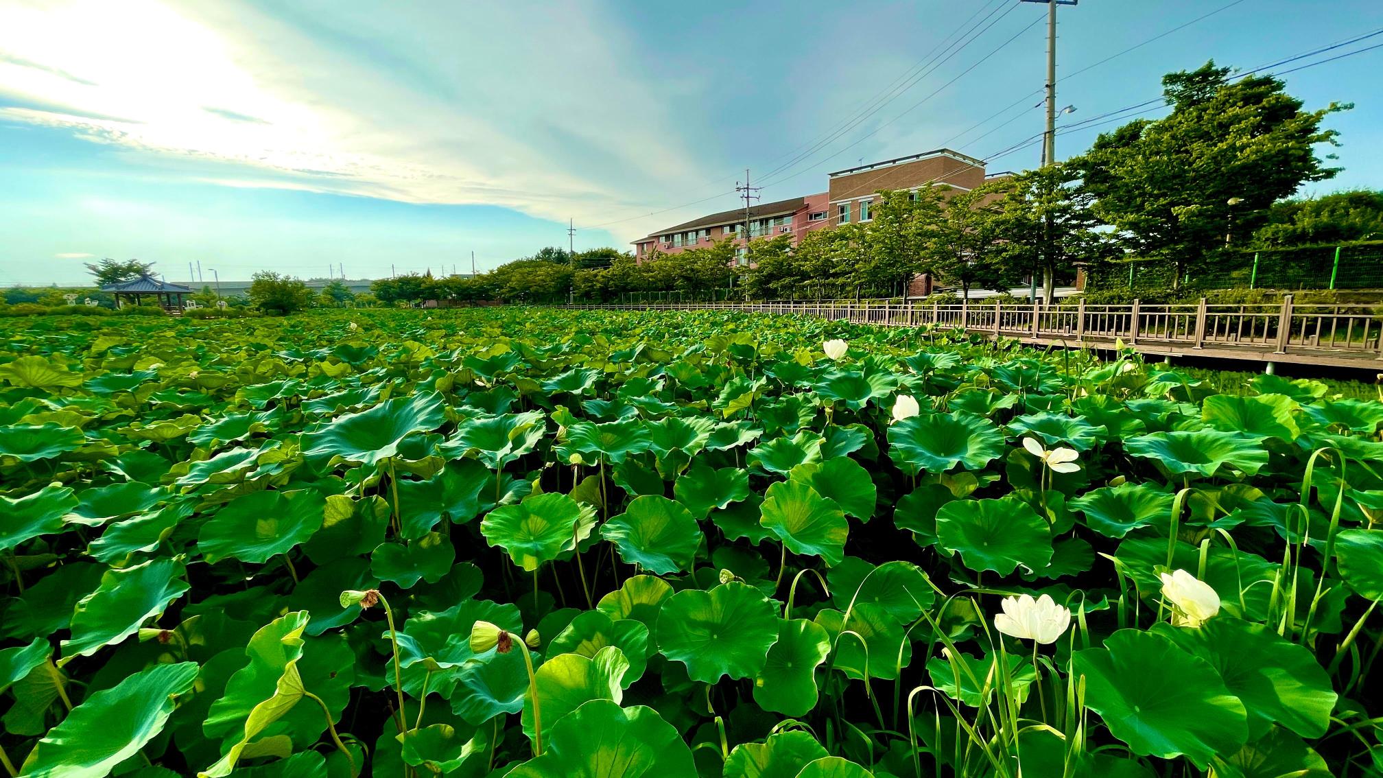 정화수도원 이미지 3