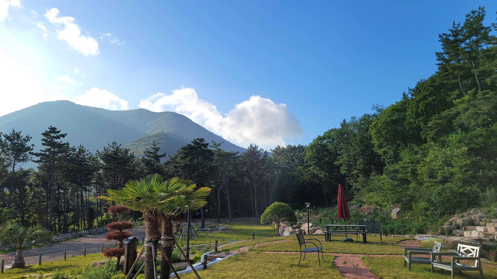 무지개숲요양원