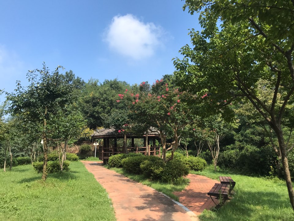 서청주노인요양원 이미지 11