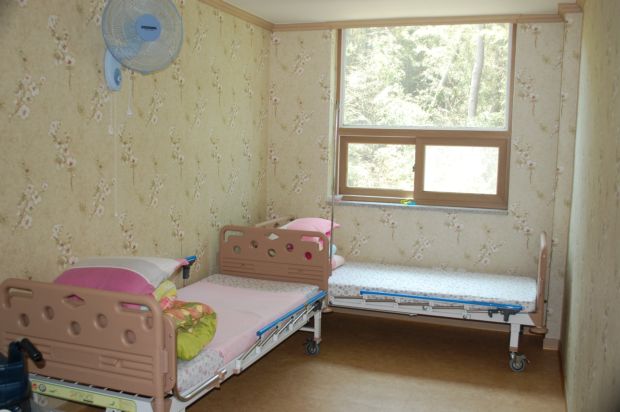 정겨운 뜰안 이미지 2