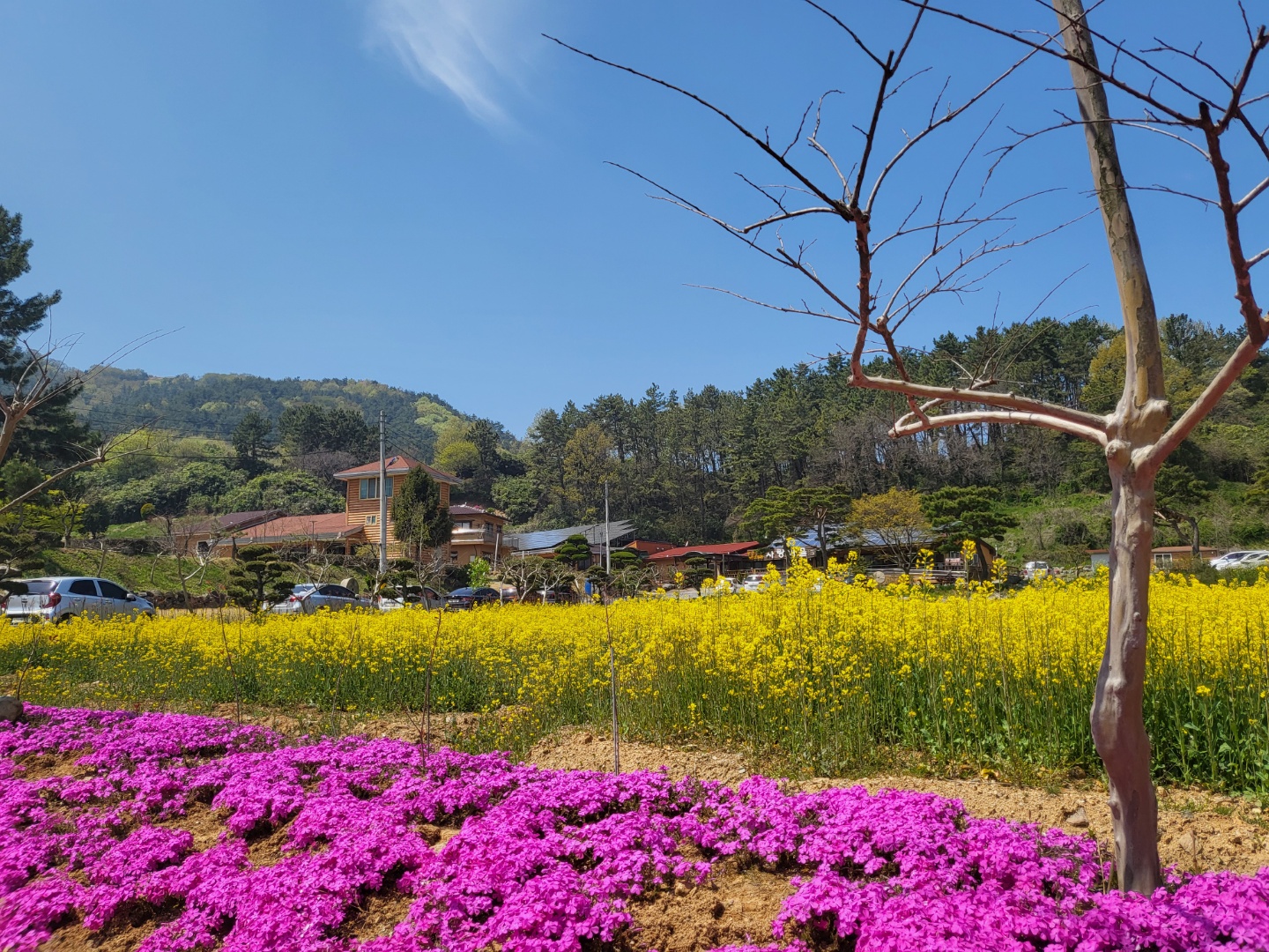 사랑마을요양원 이미지 3