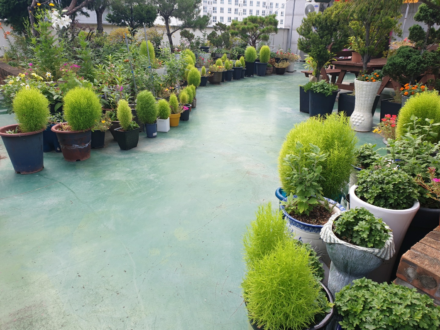 효누리요양원 이미지 2