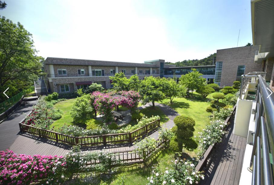 실버프리 송악 이미지 8