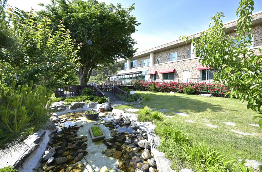 실버프리 송악 이미지 4