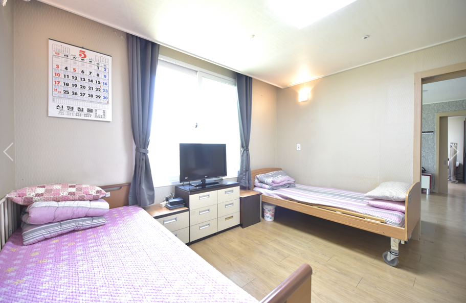 실버프리 송악 이미지 3