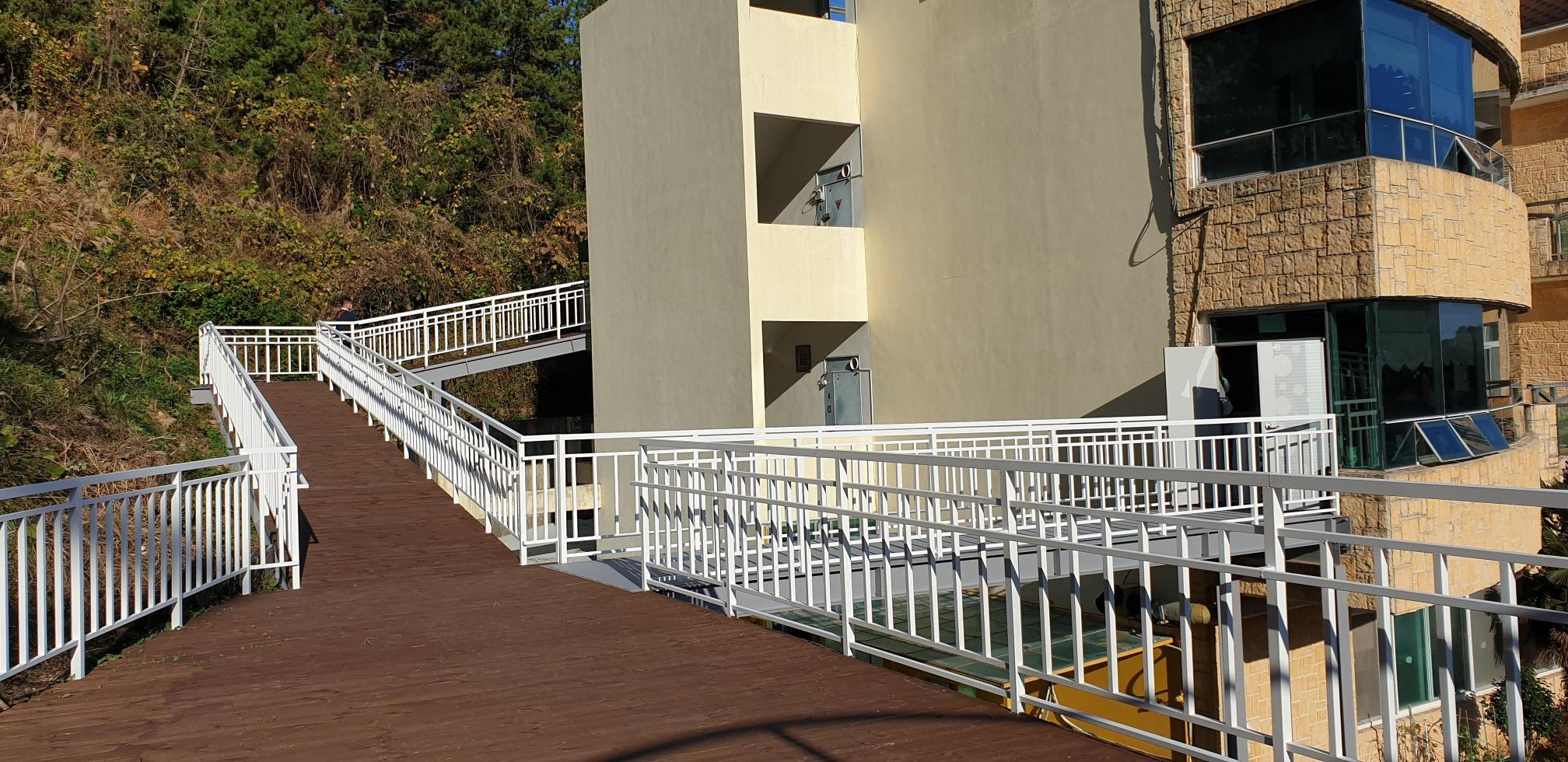 하얀연꽃 이미지 9