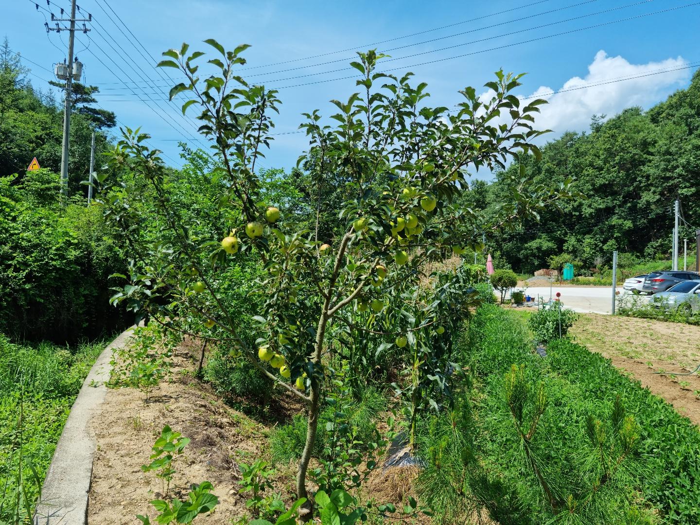 목천요양원 이미지 22