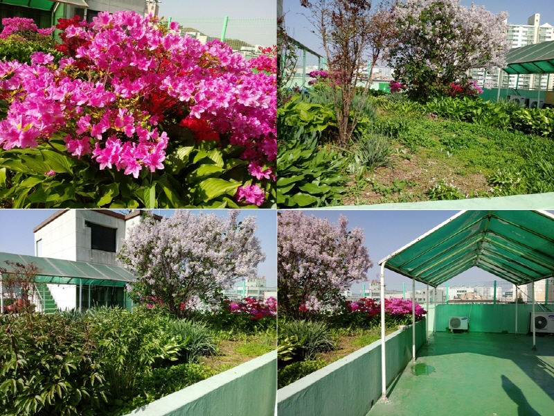 낙원요양원 이미지 5